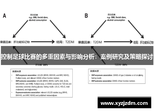 控制足球比赛的多重因素与影响分析：案例研究及策略探讨